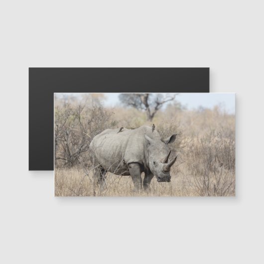 White Rhino (Front/Back)