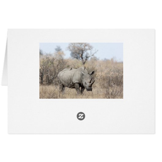 White Rhino (Back Horizontal)