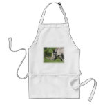 White Rhino Apron
