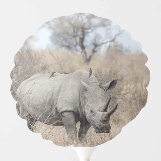 White Rhino Balloon (Front)