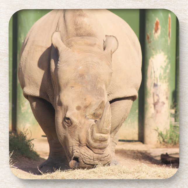 White Rhino Beverage Coaster (Front)