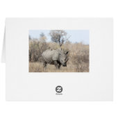 White Rhino Cards (Back Horizontal)