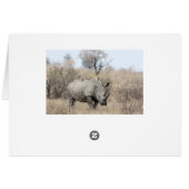 White Rhino Cards (Back Horizontal)