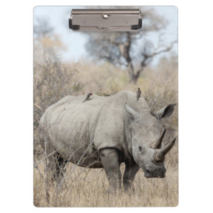 White Rhino Clipboard