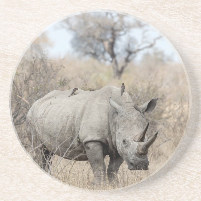 White Rhino Coaster (Front)