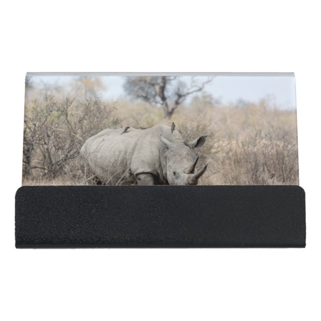White Rhino Desk Business Card Holder (Front)