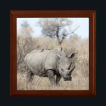 White Rhino Gift Box<br><div class="desc">A white rhino at Kruger National Park in South Africa.

Image © Angelika Stern</div>