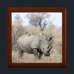 White Rhino Gift Box<br><div class="desc">A white rhino at Kruger National Park in South Africa.
Image © Angelika Stern</div>