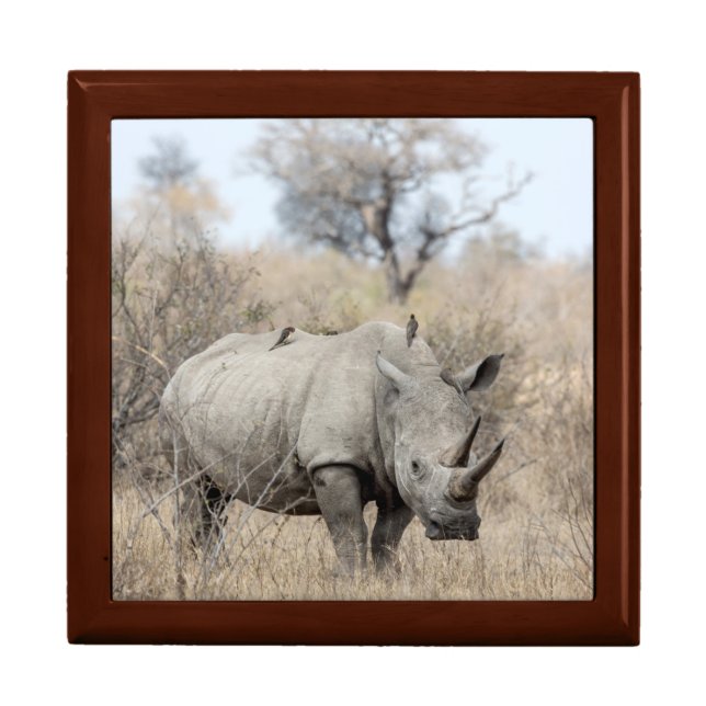 White Rhino Gift Box (Front)