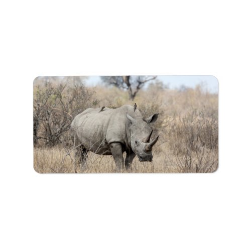 White Rhino Label