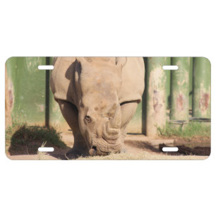 White Rhino License Plate