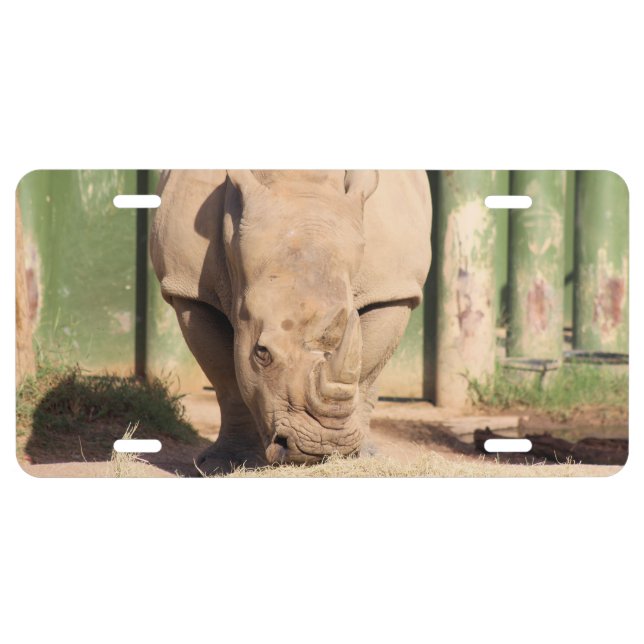 White Rhino License Plate (Front)