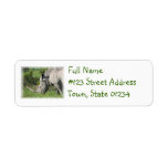 White Rhino Mailing Label