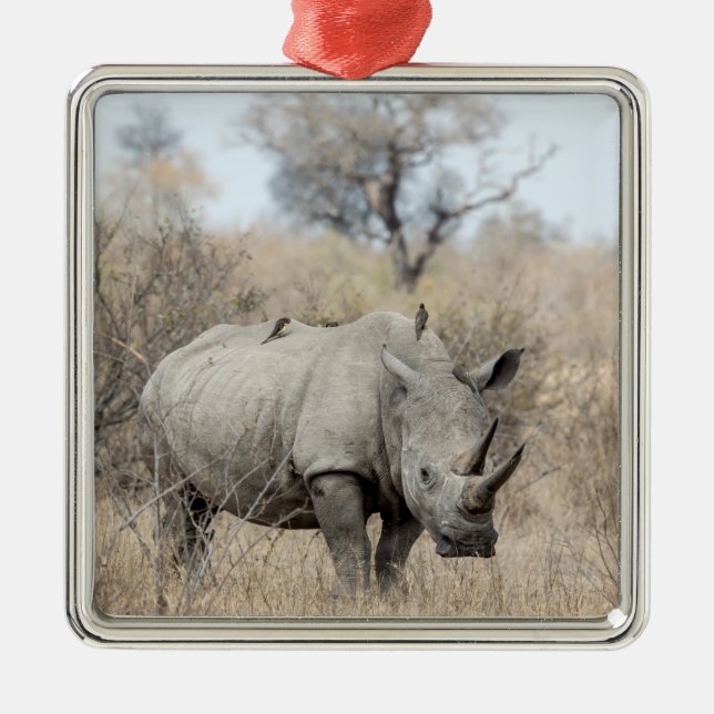 White Rhino Metal Ornament (Front)
