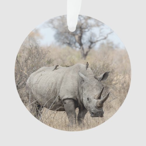 White Rhino Ornament