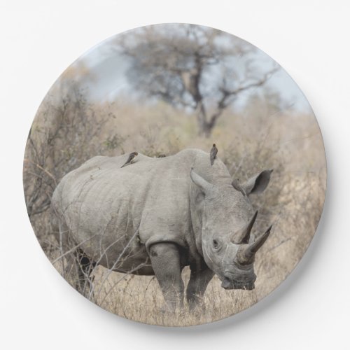 White Rhino Paper Plates