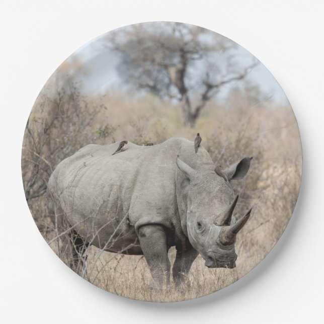 White Rhino Paper Plates (Front)