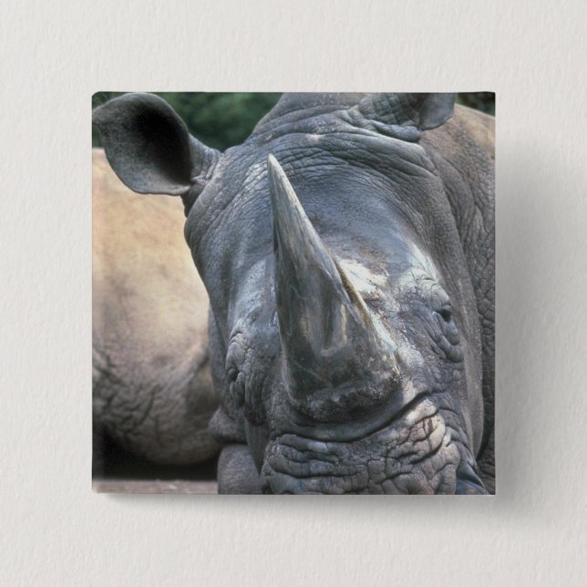 White Rhino Pinback Button (Front)