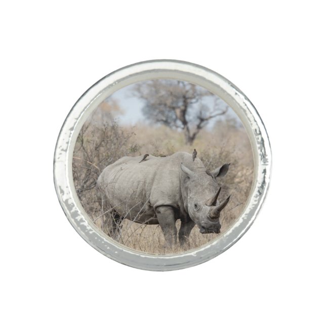 White Rhino Ring (Front)