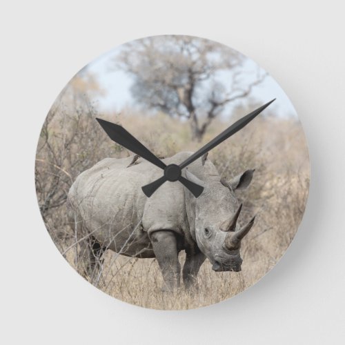 White Rhino Round Clock