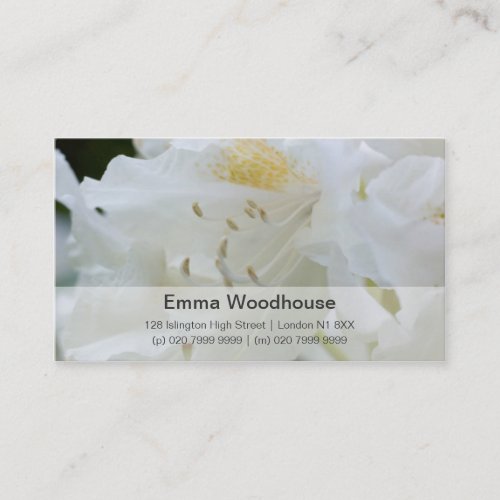 White Rhododendron | Weisse Rhododendron Business Card