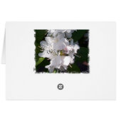 White Rhododendrons Card (Back Horizontal)
