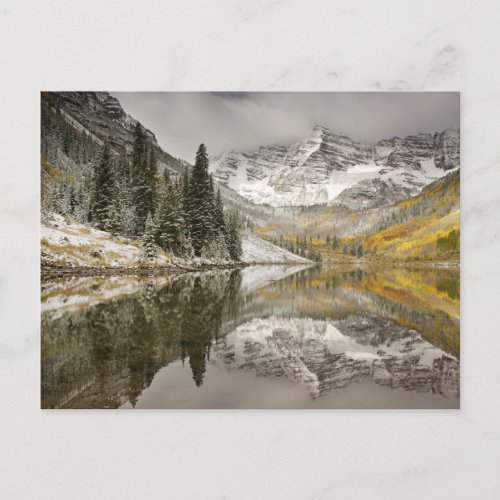 White River National Forest Colorado Postcard