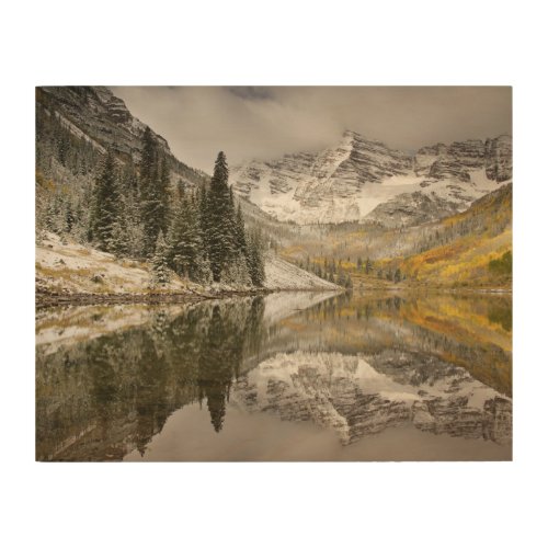 White River National Forest Colorado Wood Wall Art