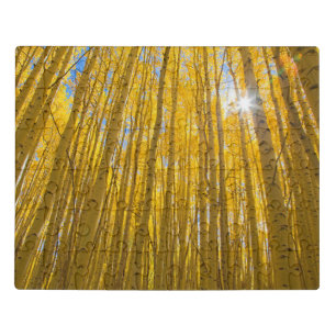 White River National Forest Jigsaw Puzzle