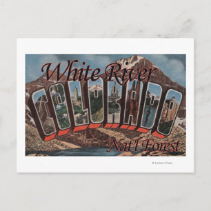 White River Nat'l Forest, Colorado Postcard