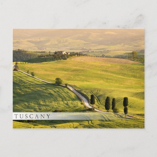 White road in Tuscany landscape bar postcard