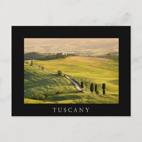 White road in Tuscany landscape black postcard