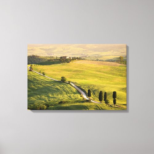 White road in Tuscany landscape canvas print