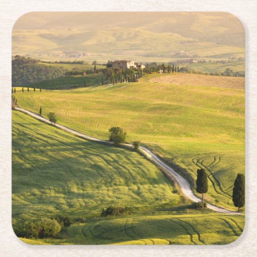 White road in Tuscany landscape coaster