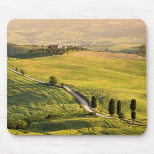 White road in Tuscany landscape mousepad