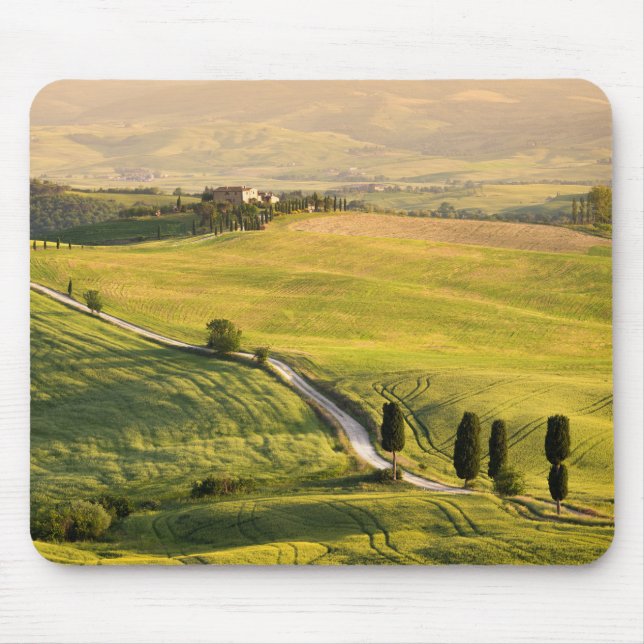White road in Tuscany landscape mousepad (Front)