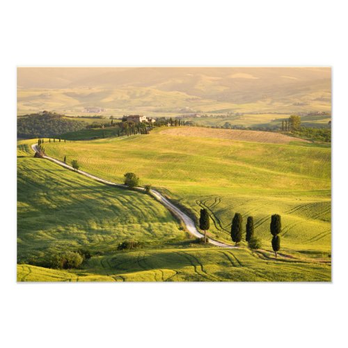 White road in Tuscany landscape photo print