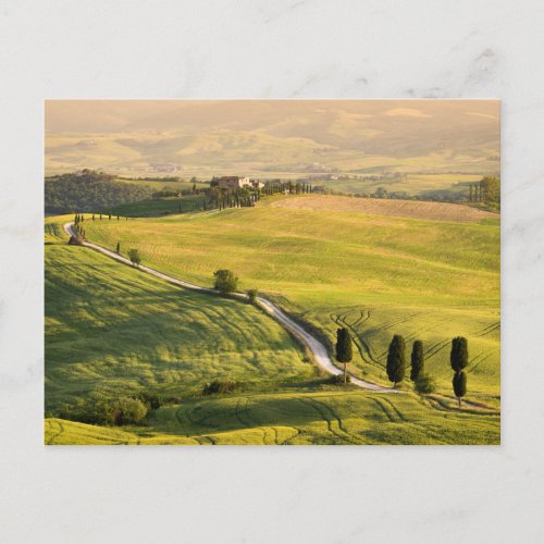 White road in Tuscany landscape postcard