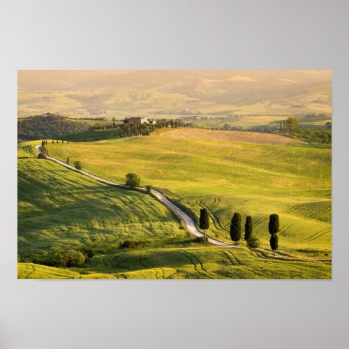 White road in Tuscany landscape poster