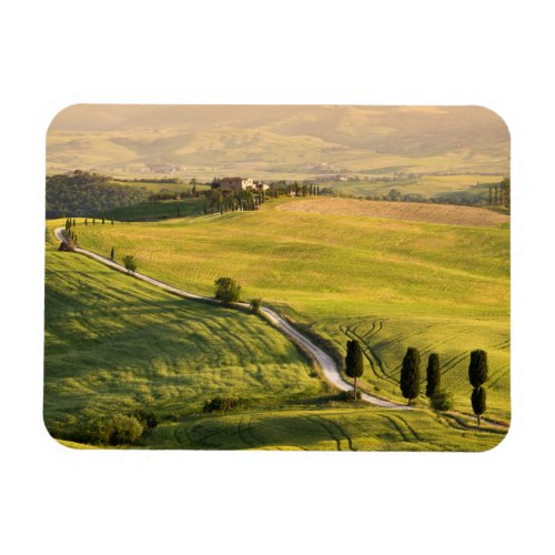 White road in Tuscany landscape rectangle magnet