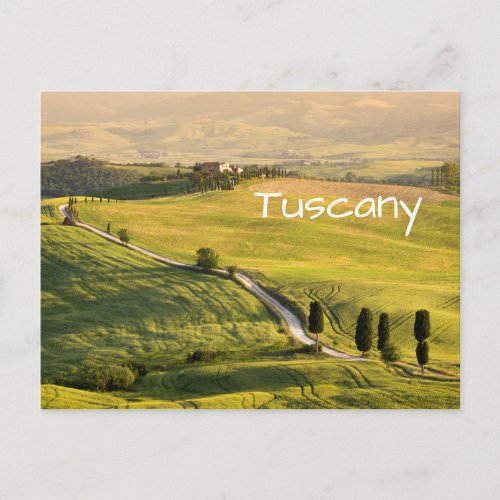 White road in Tuscany landscape text postcard