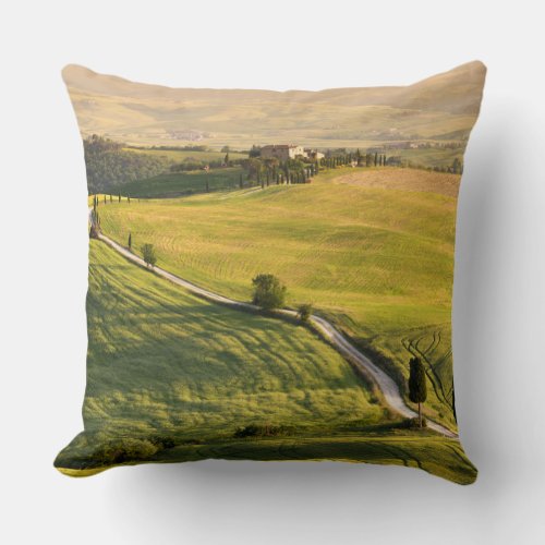 White road in Tuscany landscape throw pillow