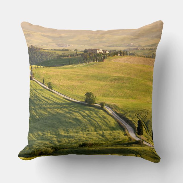 White road in Tuscany landscape throw pillow (Front)