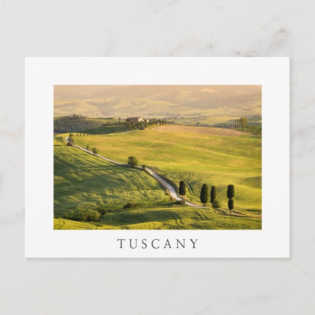 White road in Tuscany landscape white postcard (Front)
