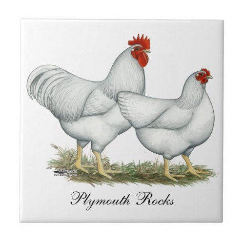 White Rock Chickens Tile