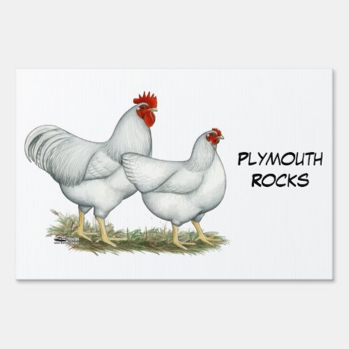 White Rock Chickens Yard Sign