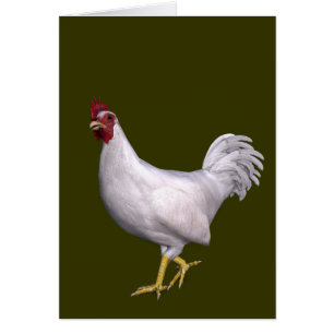 White Rooster Cards