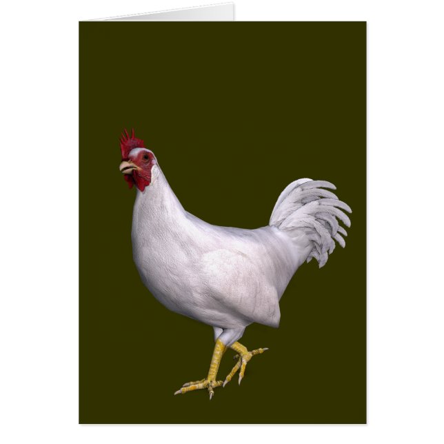 White Rooster Cards (Front)