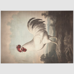 White Rooster Illustration Vintage Decoupage Tissue Paper