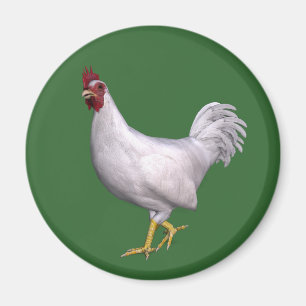 White Rooster Magnet